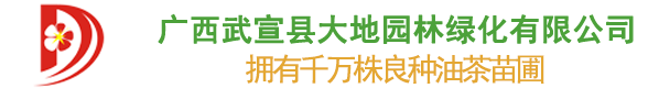 广西武宣县大地园林绿化有限公司