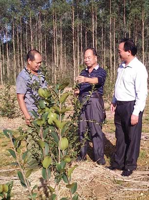 武宣县桥巩村农户种植成果